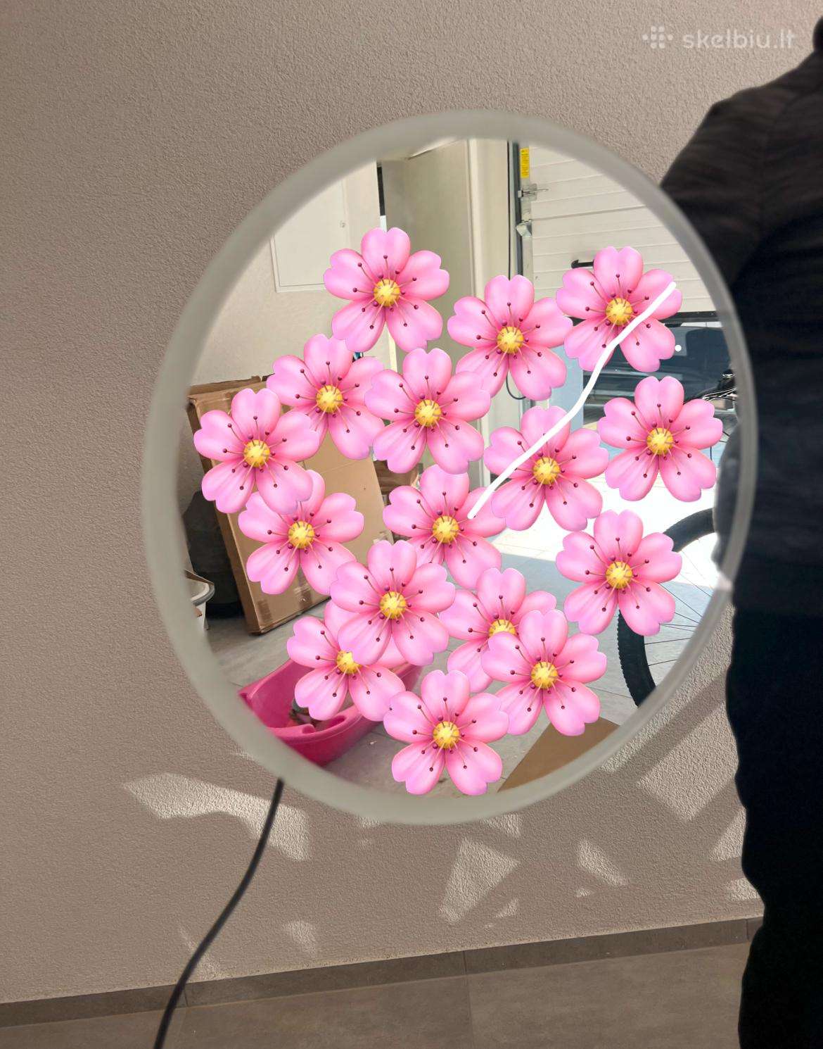 Veidrodis su LED apšvietimu