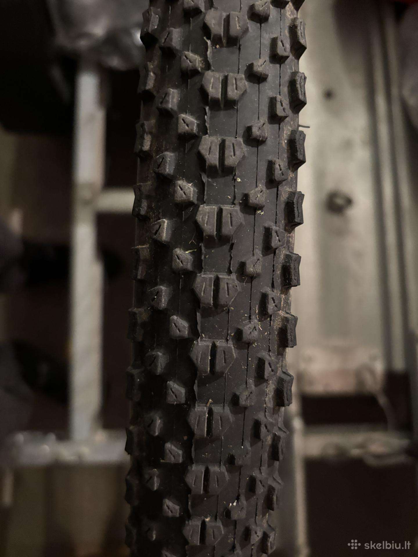 MTB padangos Maxxis Ikon 29, Wahoo daviklis, sedy