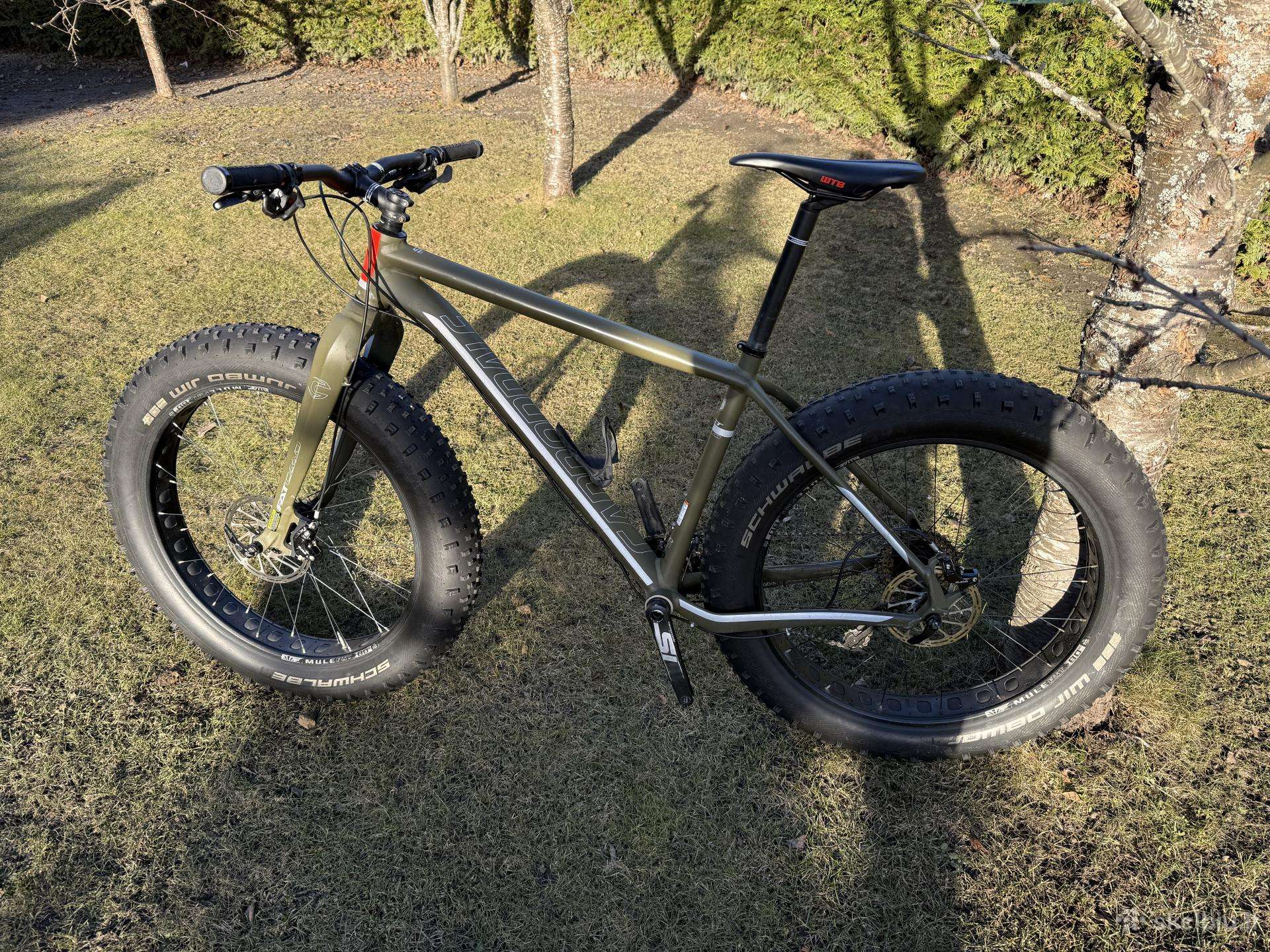 Cannondale fat  caad