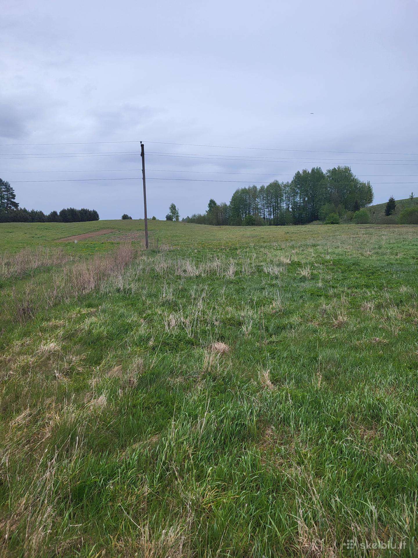 Parduodami trys 2,37 ha sklypai, 6km nuo Utenos