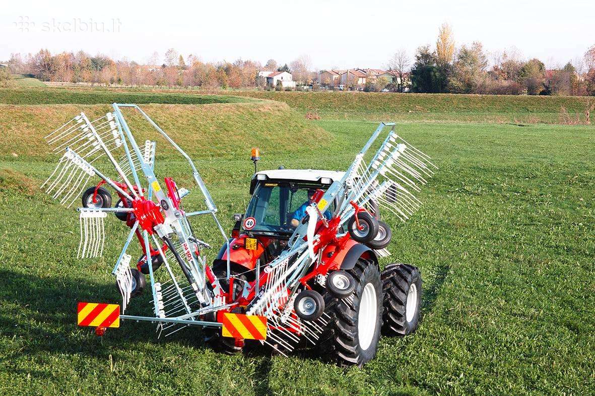 Daros Green, rakes