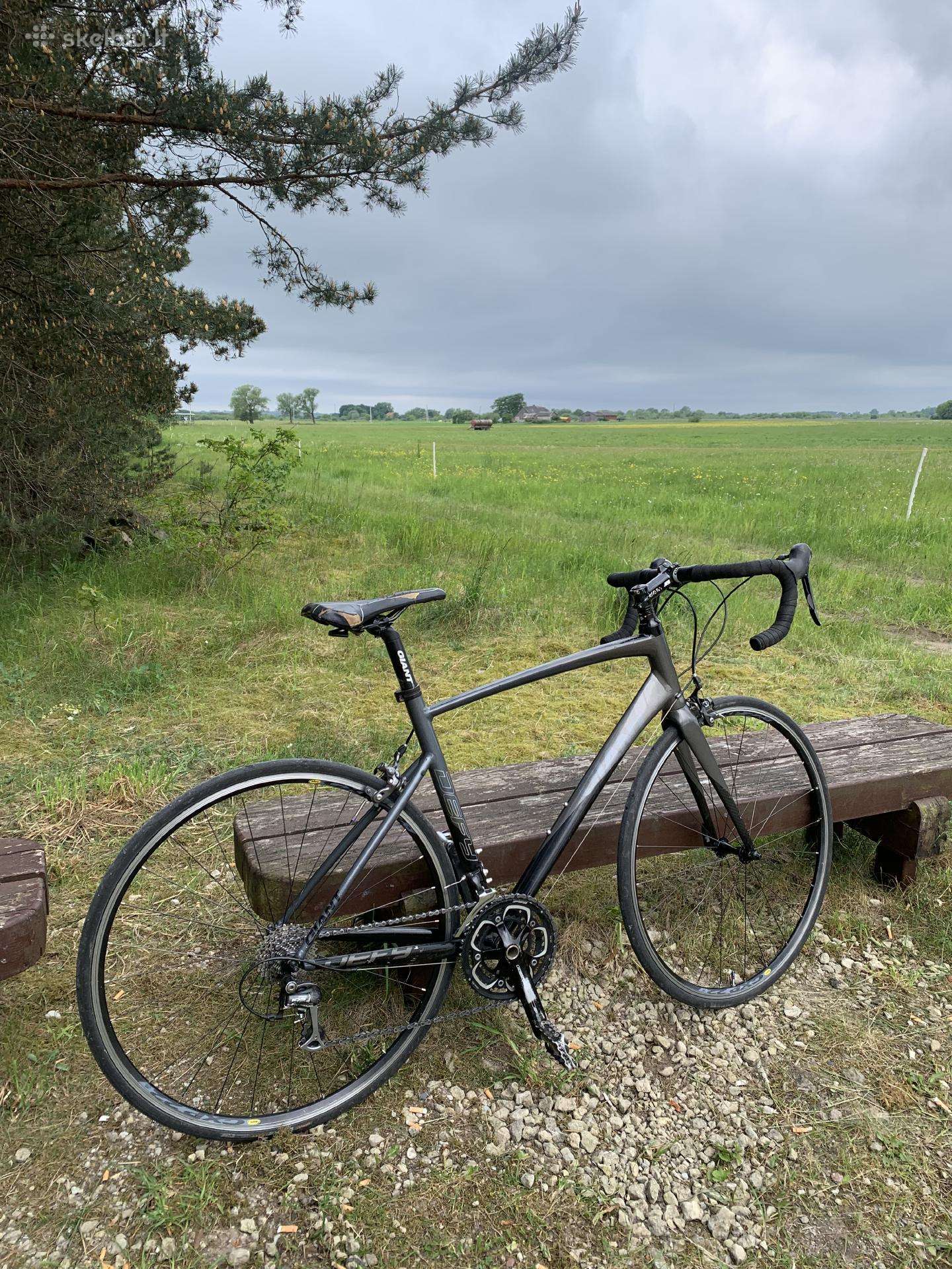 Giant defy