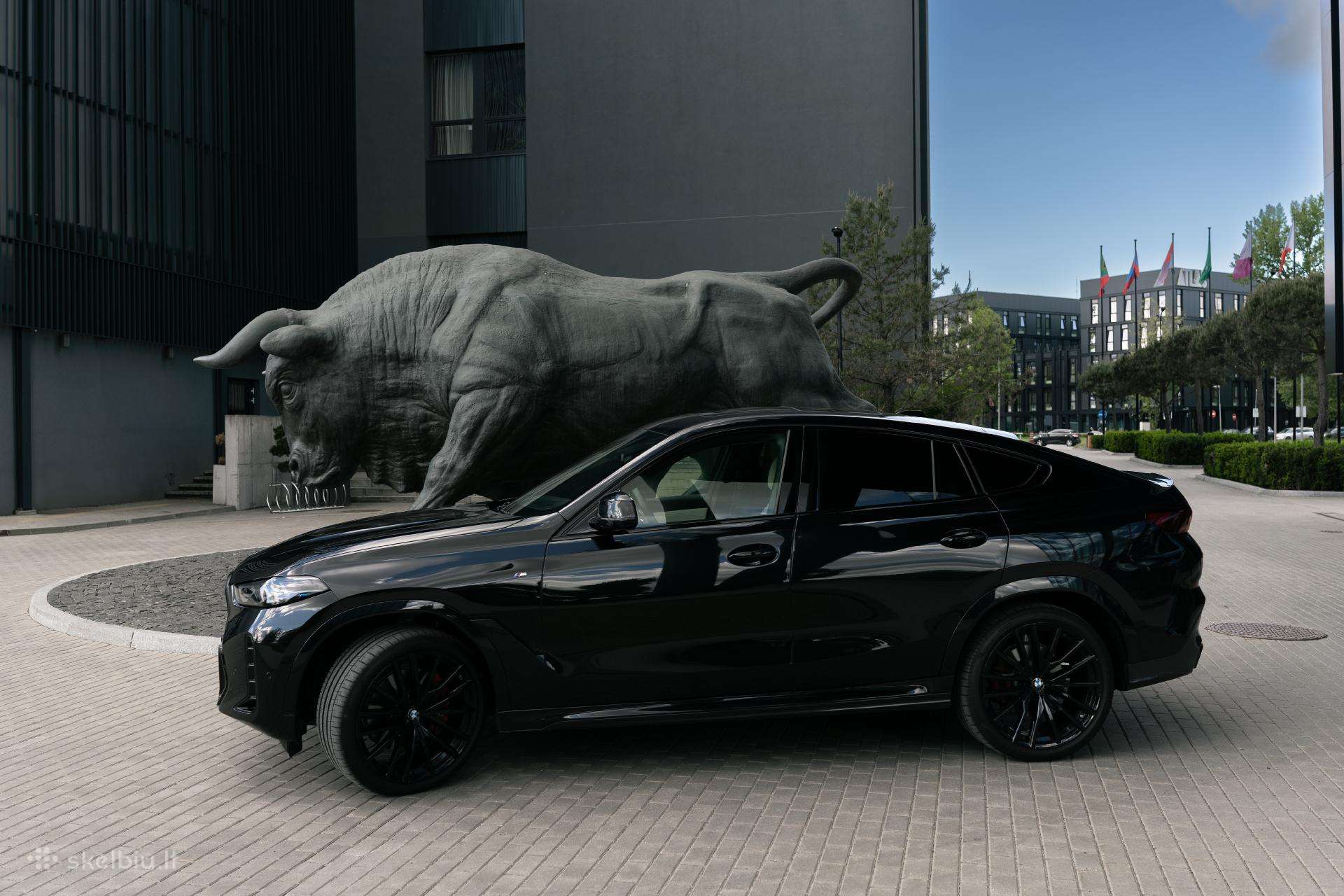 BMW X6, off-road / crossover