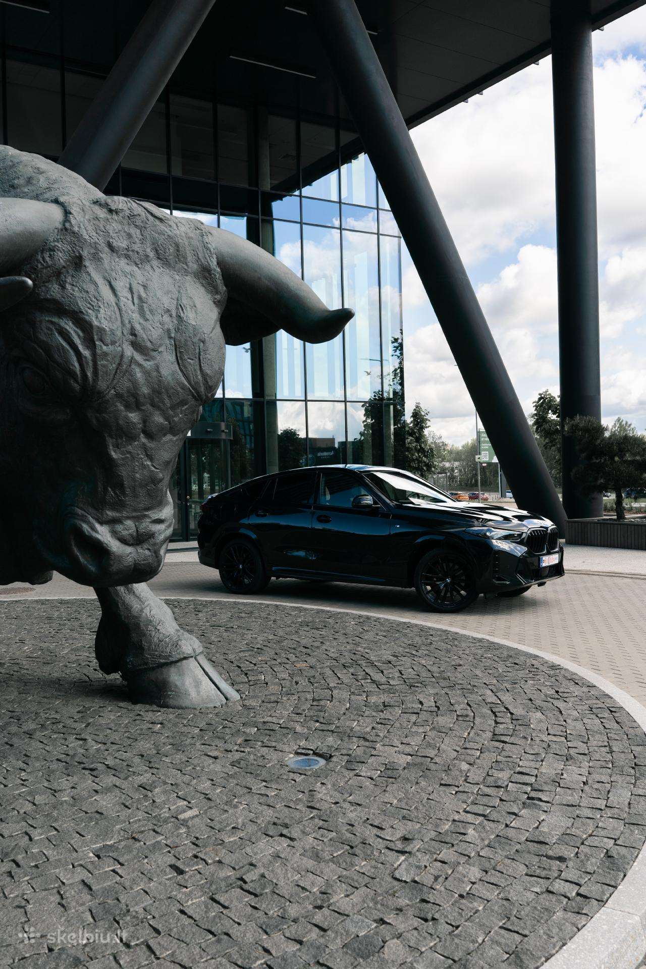 BMW X6, off-road / crossover