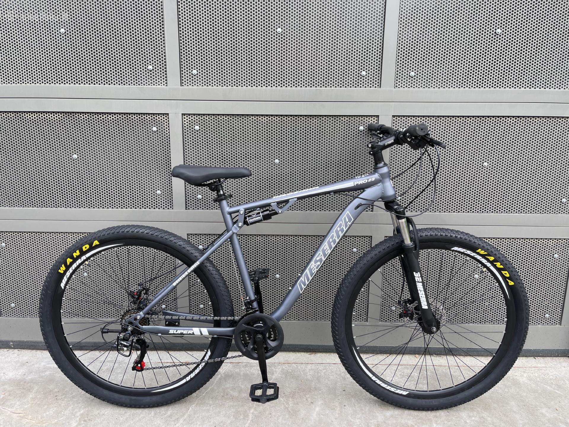 Mountain bike Galaxy