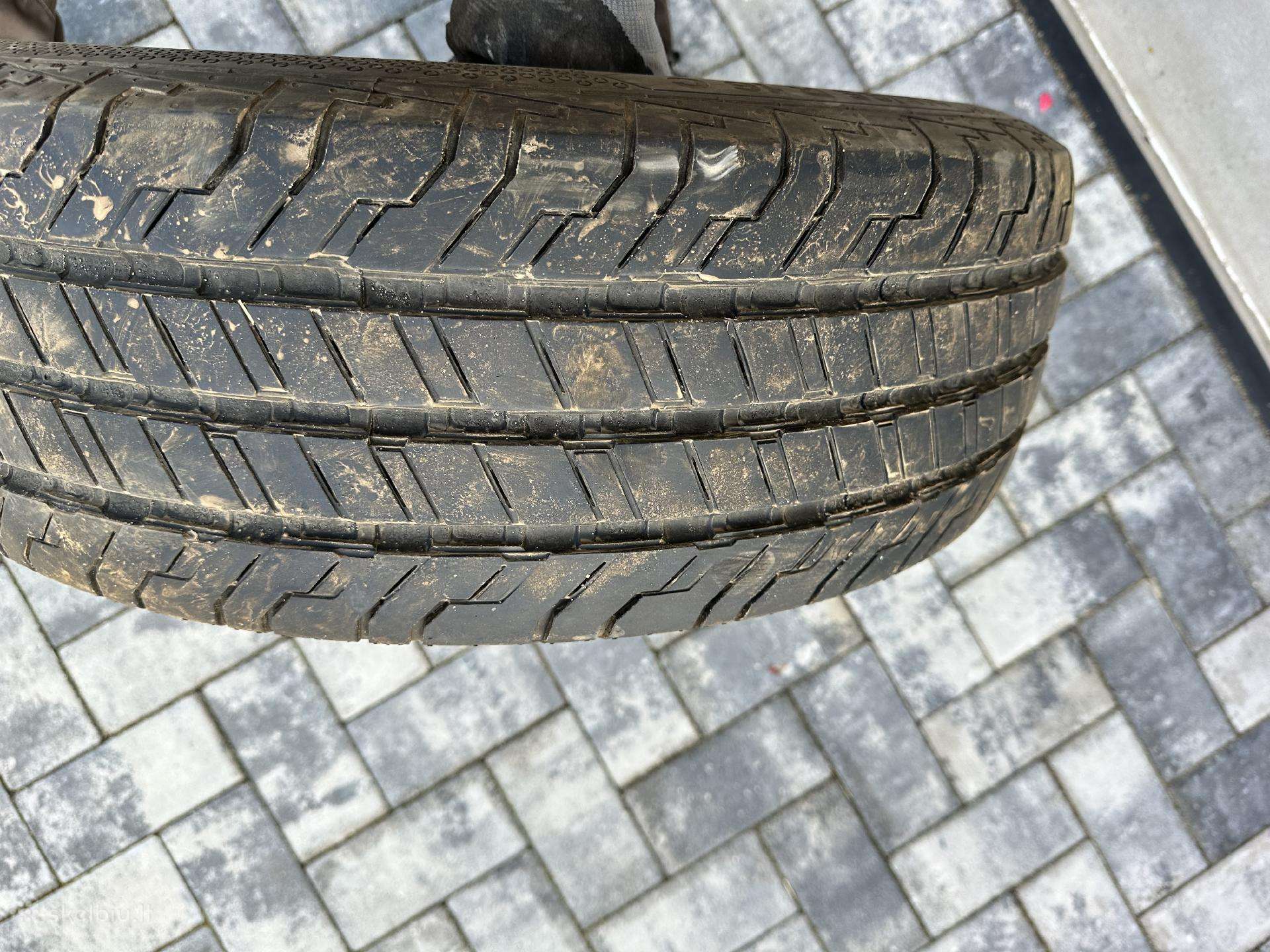 Continental, vasarinės 215/65 R16 | A28514457