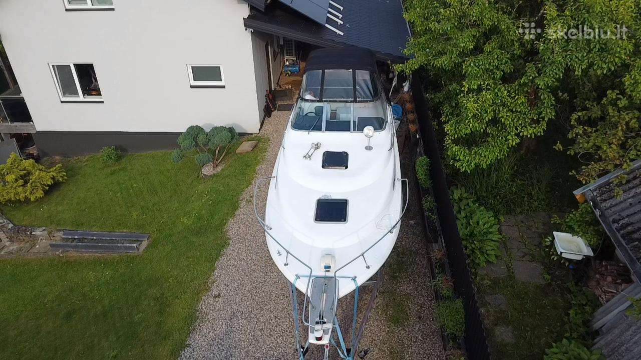 Bayliner Pramoginis, yachts / cruisers