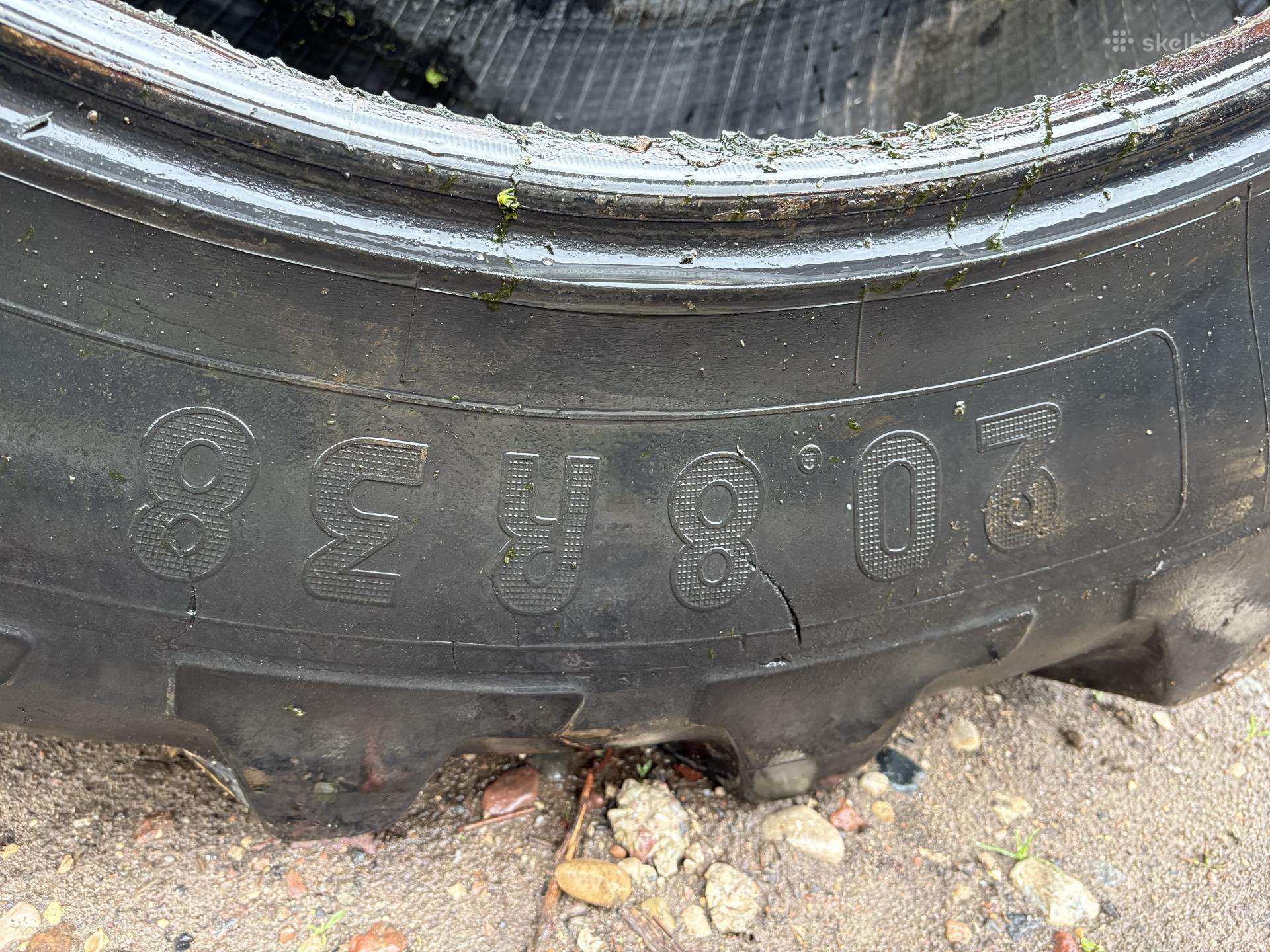 Michelin