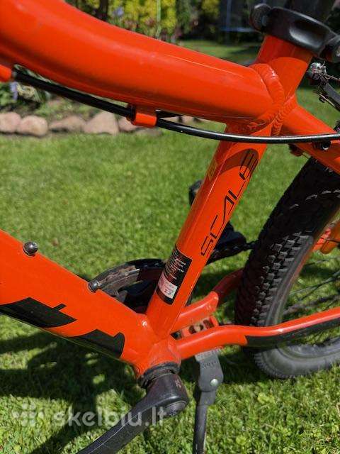 Kid bike Scott 24″