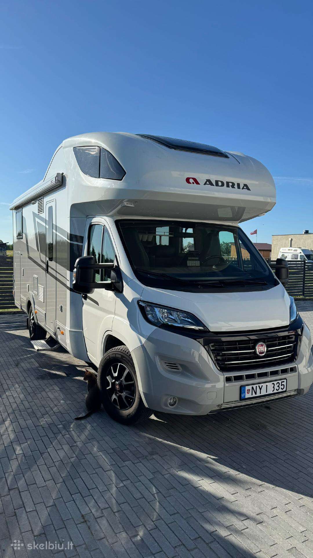 Fiat Adria, coach buses