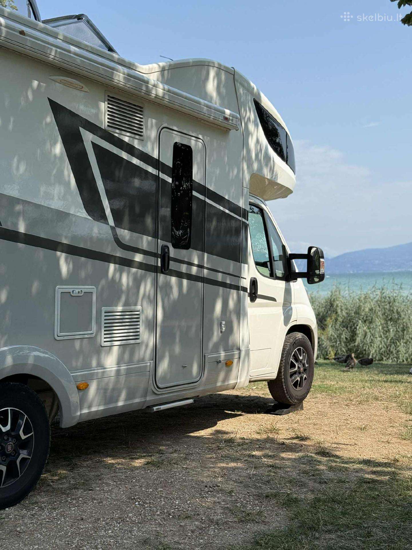 Fiat Adria, coach buses