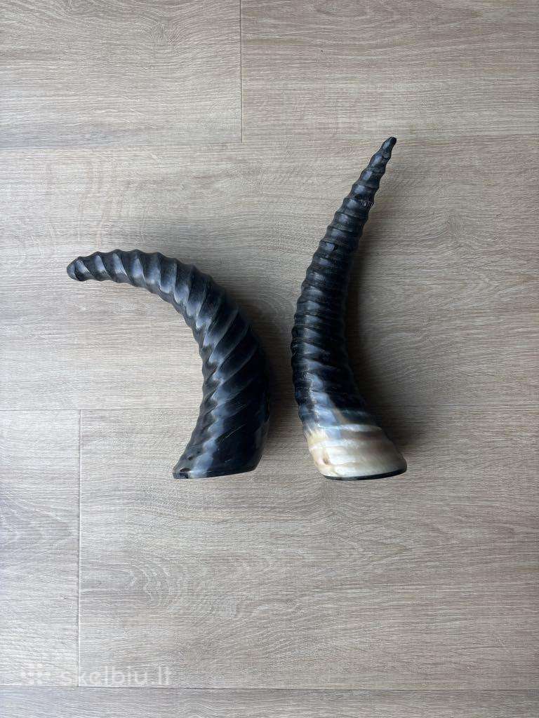 Raginės knygų atramos