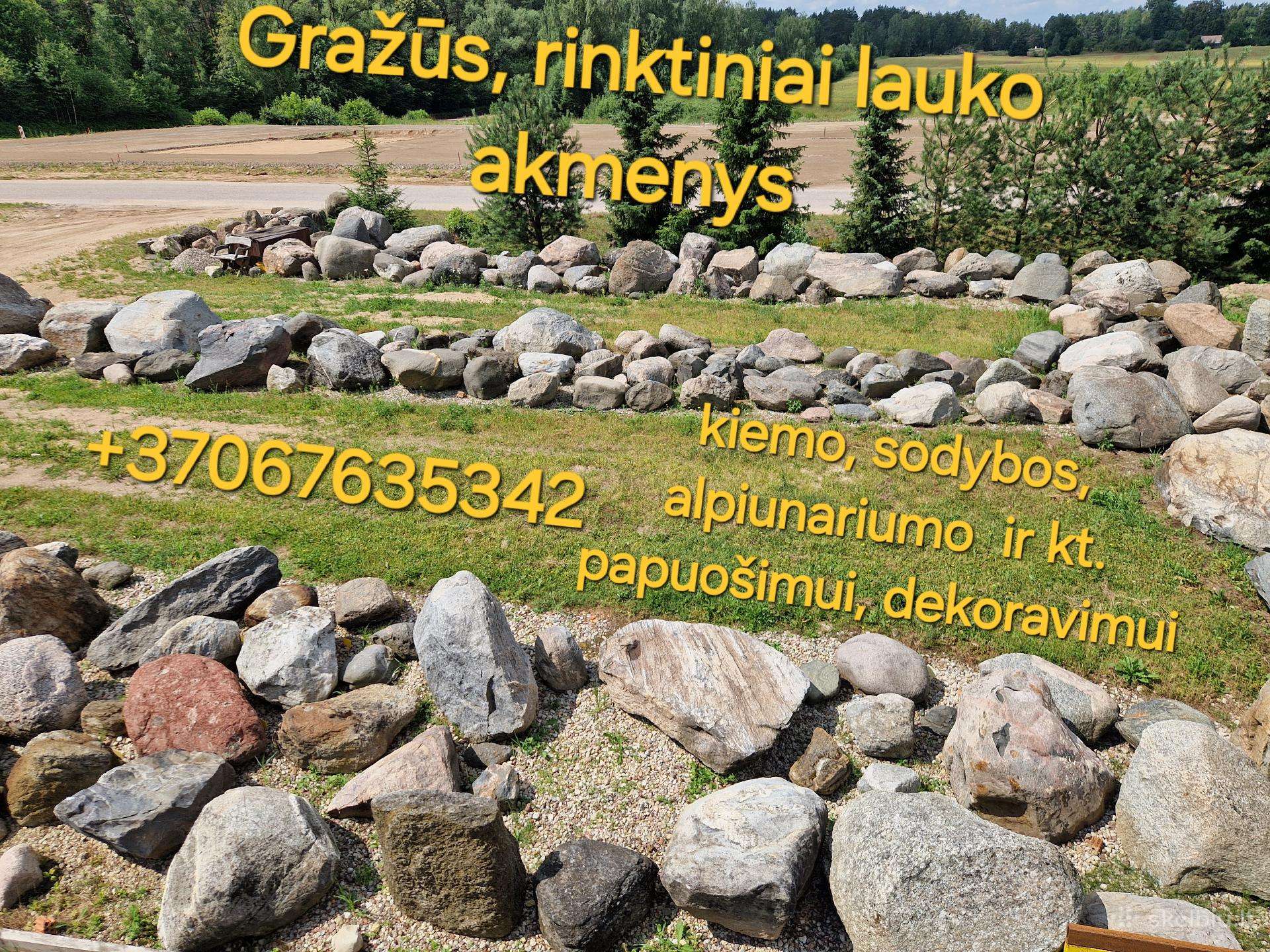 Birus kroviniai