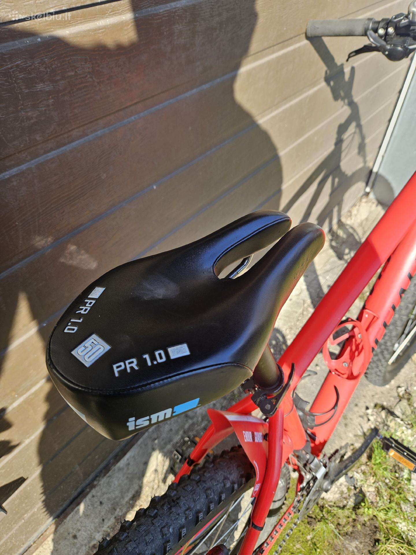 Kalnų dviratis Specialized 29″