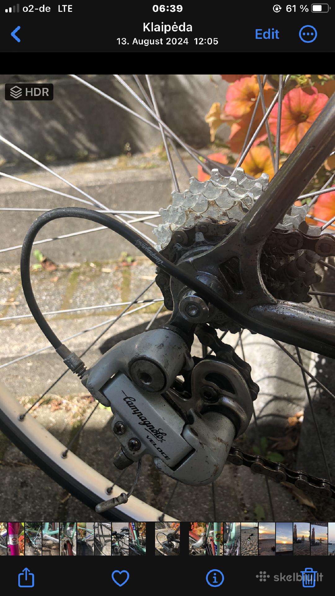 Plento, sportinis dviratis Bianchi