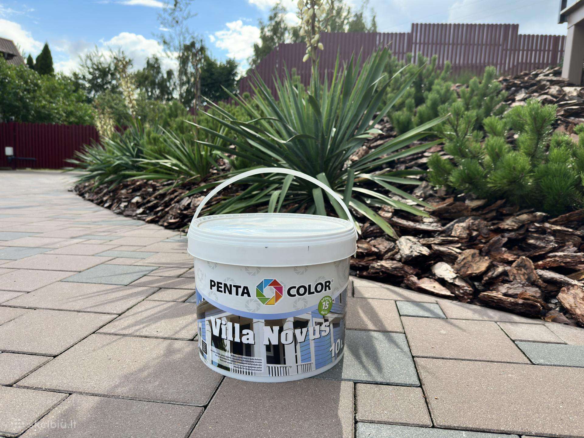 Penta color pilki dažai (10 litrų)