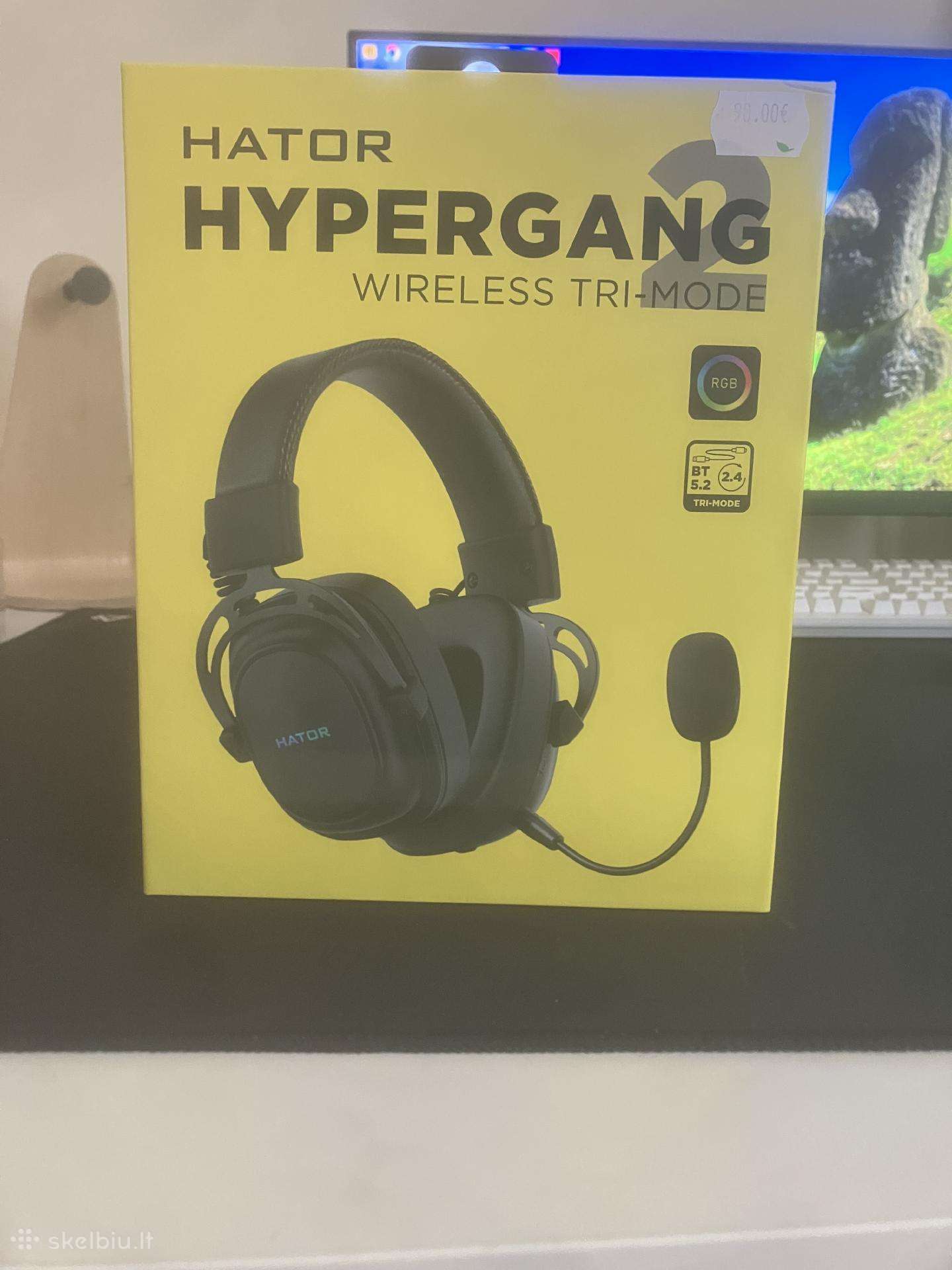 Žaidimu (gaming) ausines hator