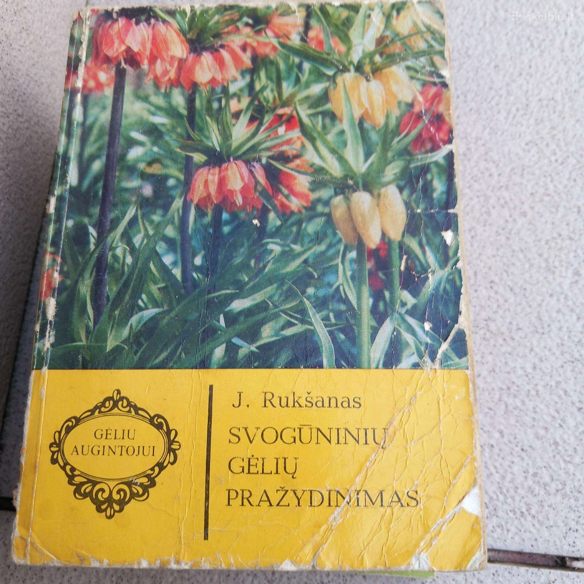 Svogūninių gėlių pražydinimas