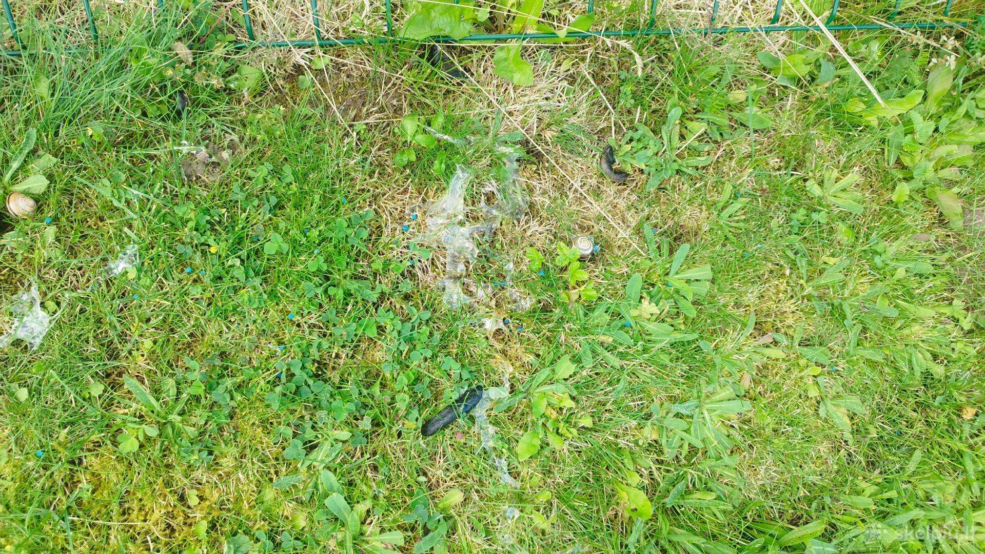 Moliuskocidas granulės šliužų naikinimui veikdming