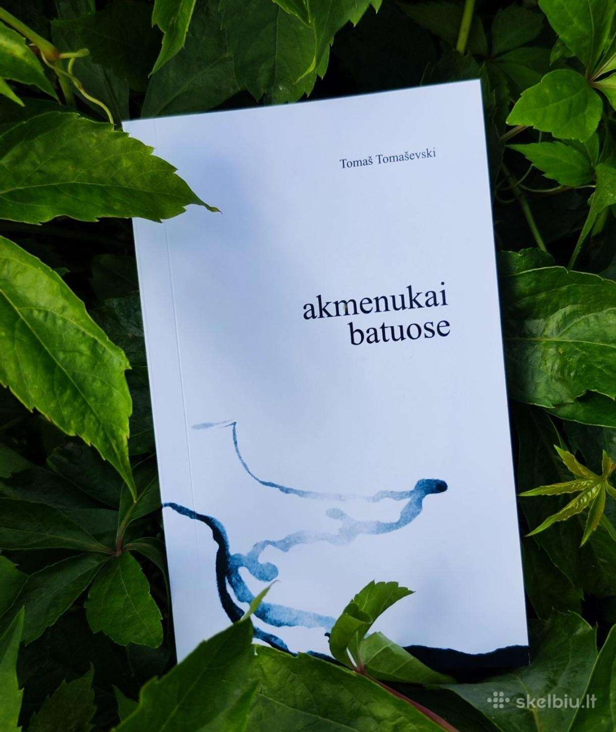 Poetinių miniatiūrų knyga „Akmenukai batuose“