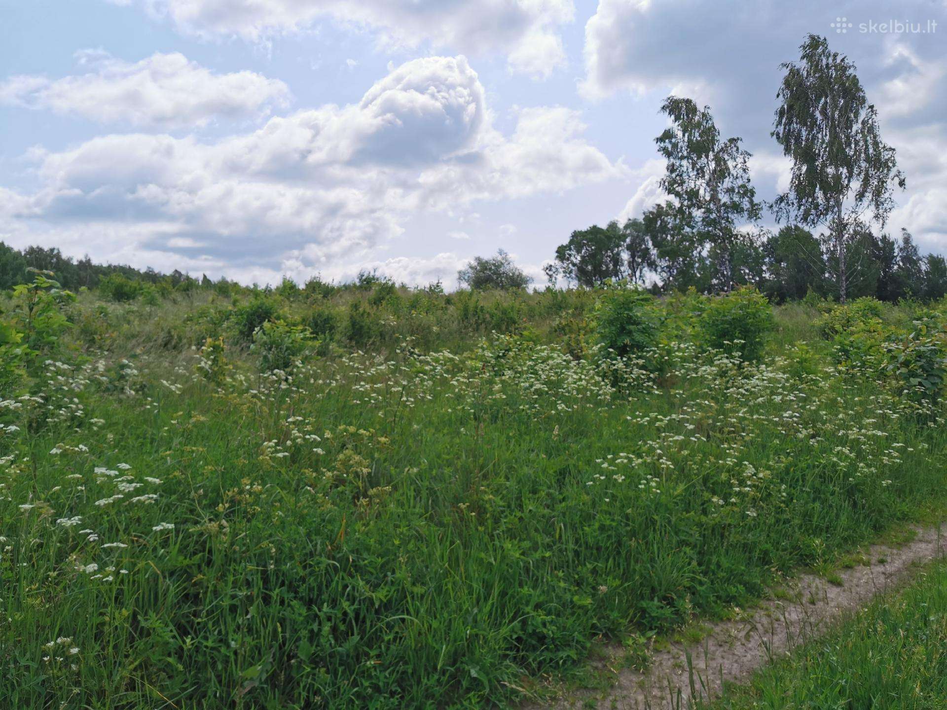 3,9835 ha žemės ūkio paskirties sklypas Trakų raj.