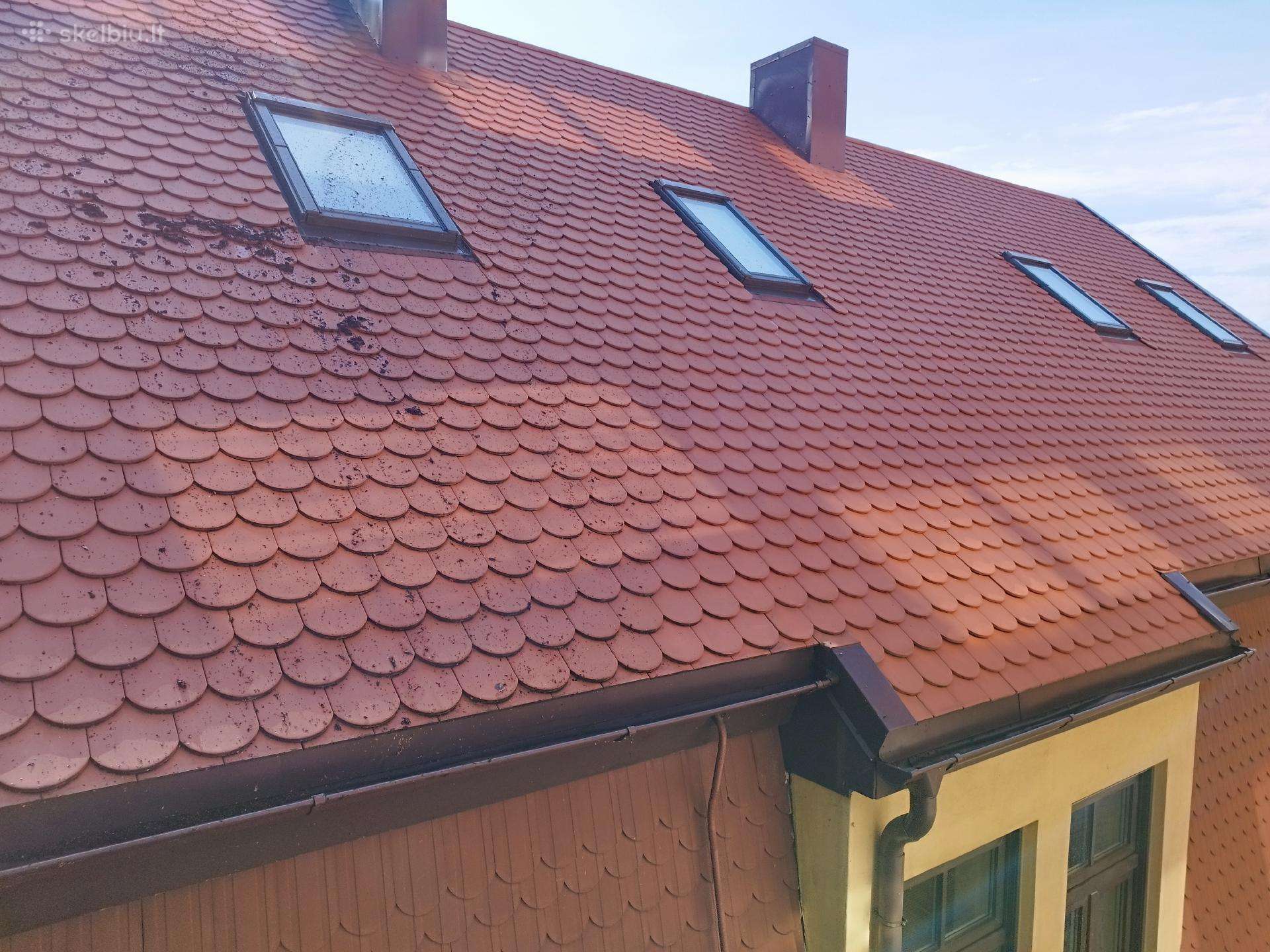 Stogų, fasadų valymas ir tinklų montavimas