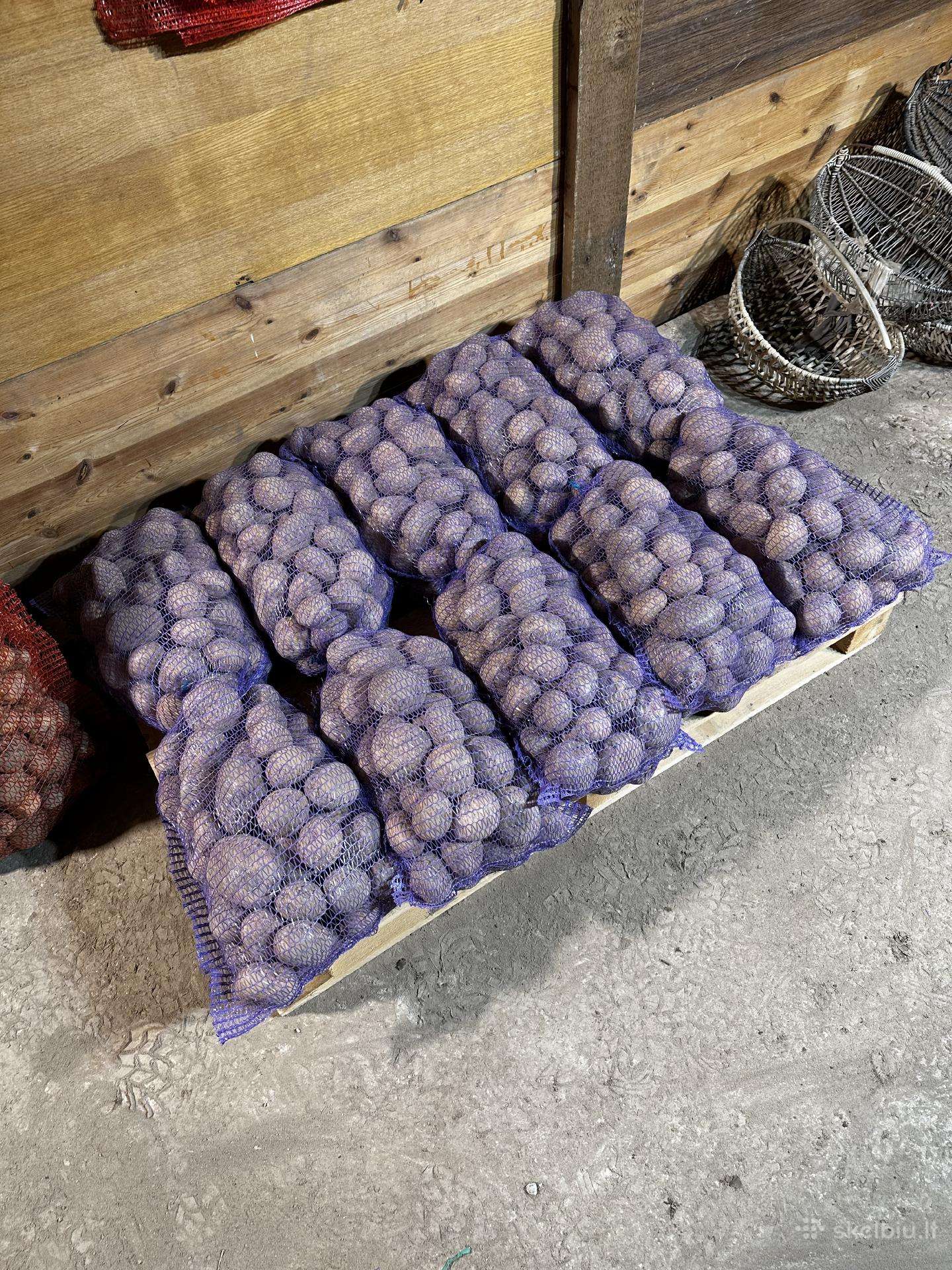 Bulvės,svogūnai,burokėliai iš mažo šeimos ūkio