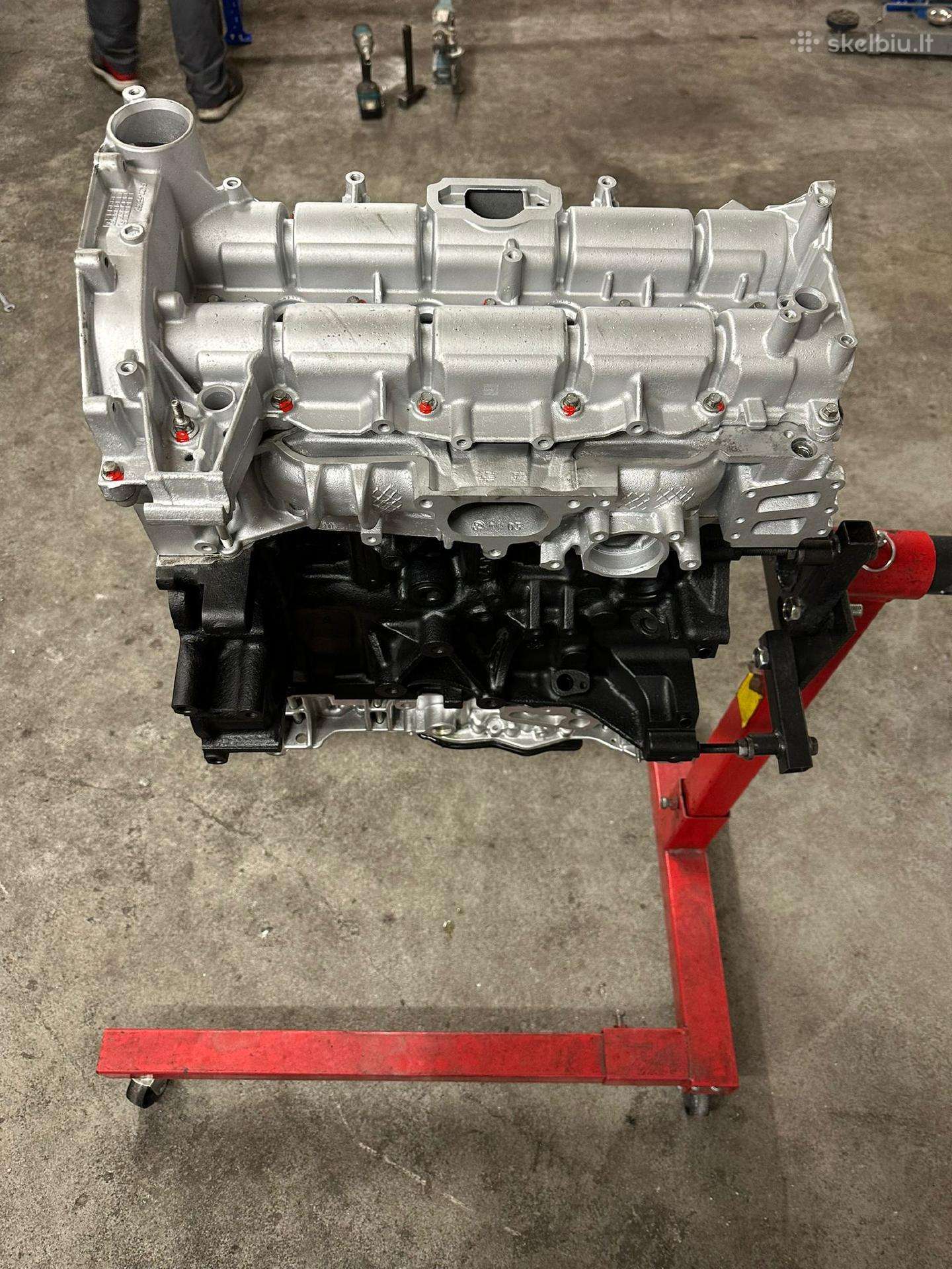 Ford Transit variklis