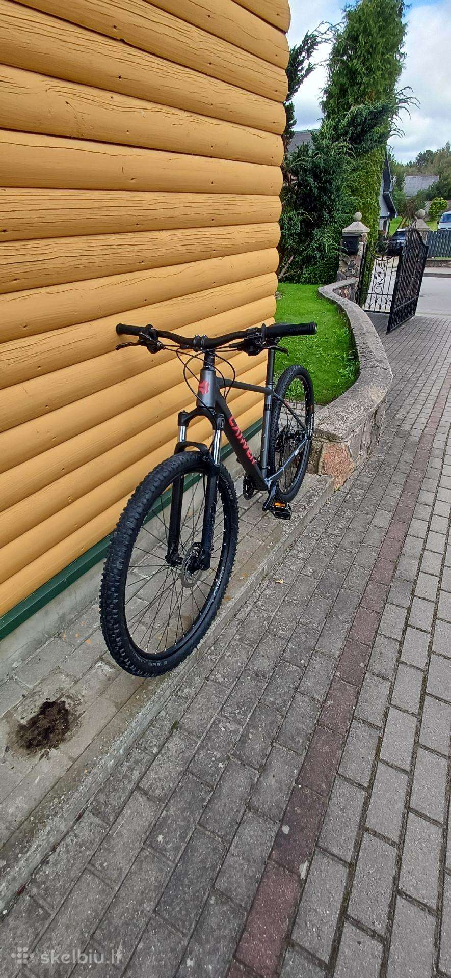 Kalnų dviratis Carver