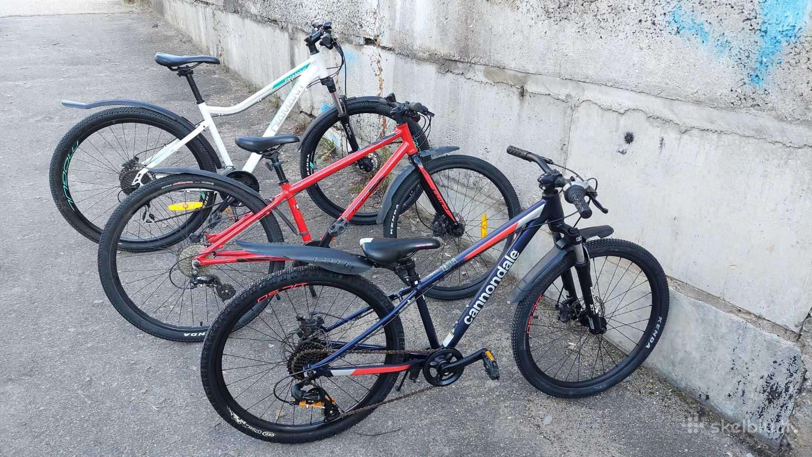 Mountain bike Scott 29″
