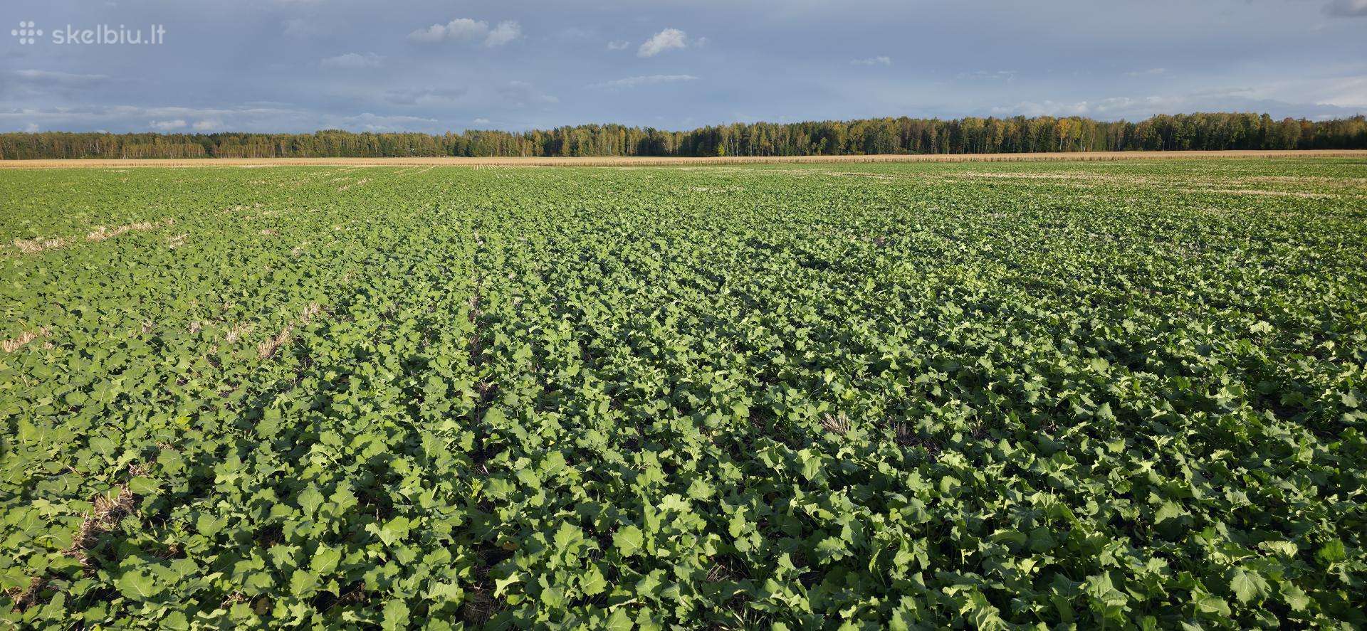 MZURI Pro-Till 4T, seeders, planters