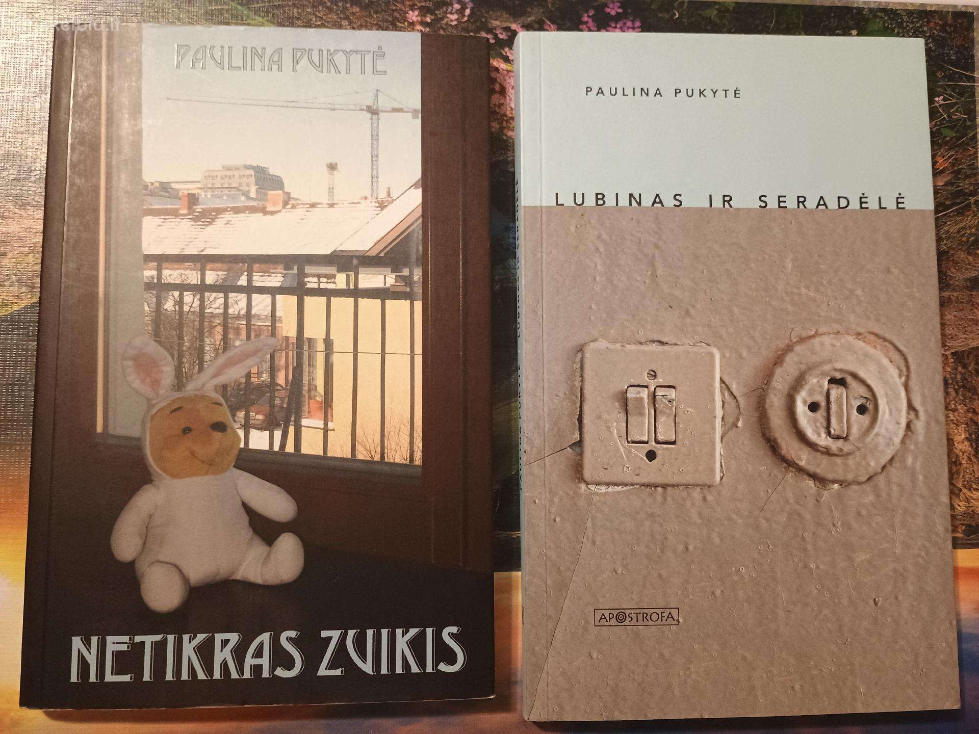 Knygos Netikras zuikis, Lubinas ir seradėlė