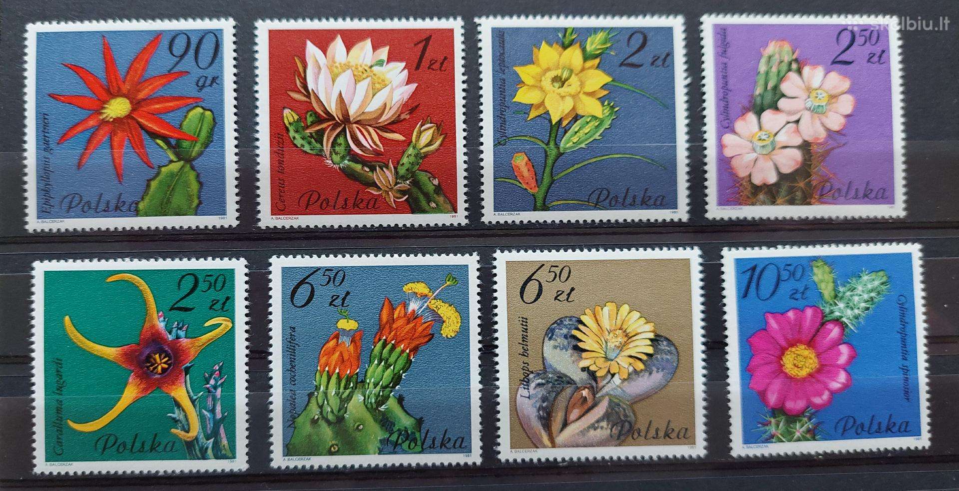 Lenkija 1981 kaktusai, švarus, Michel 2784-2791