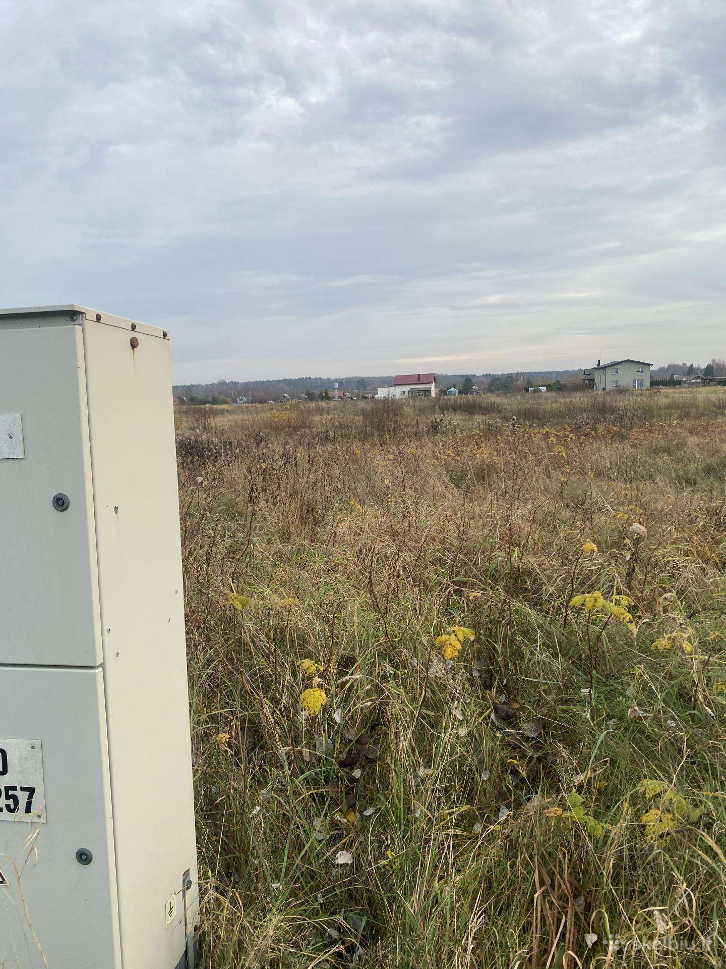 Dovilai 46,58 a Elektra Galimybė Skaidyti