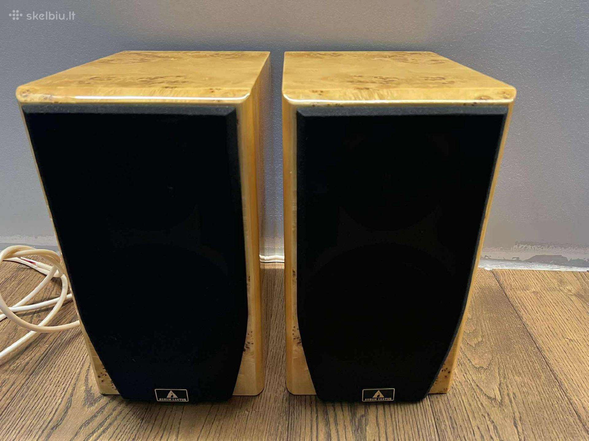 Aurum Cantus 610 garso kolonėlės