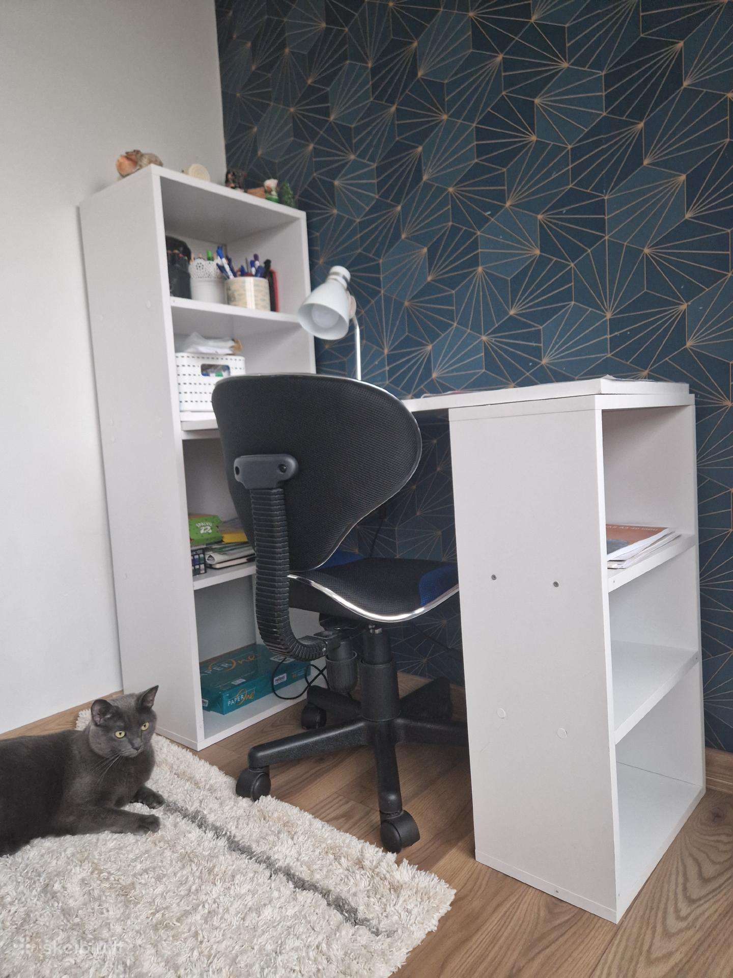 Rašomasis modulinis stalas