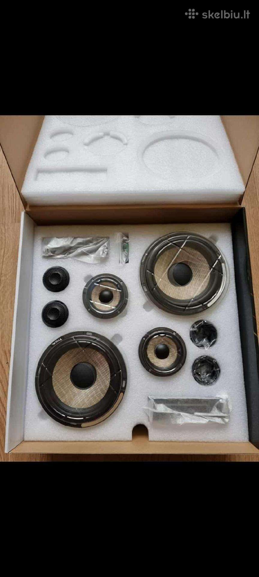 Focal garsiakalbiai
