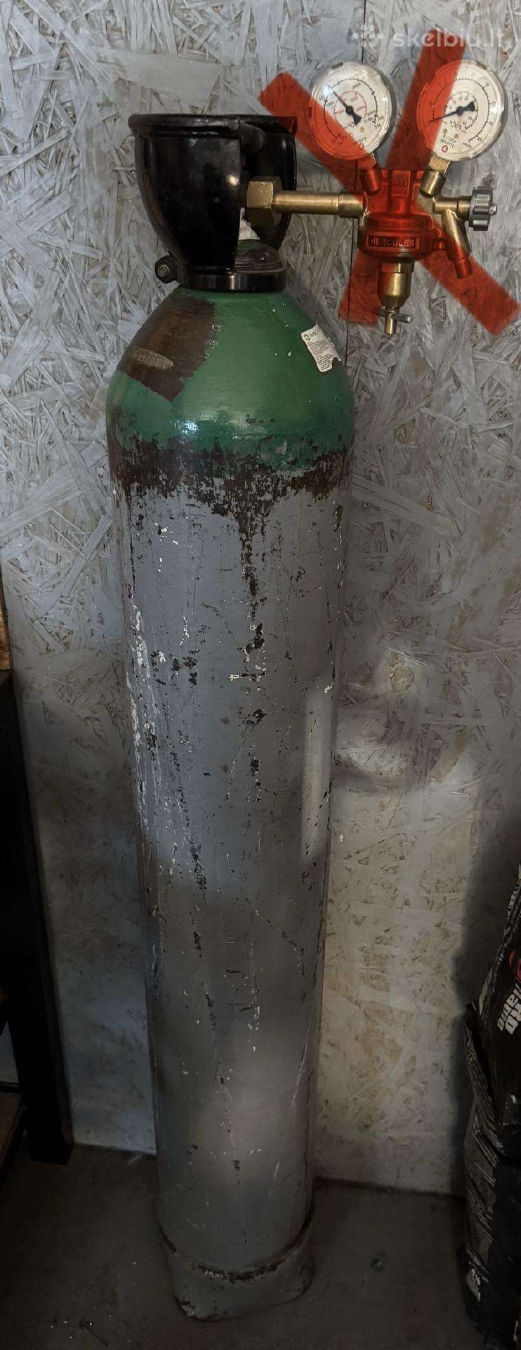 Argono baliona