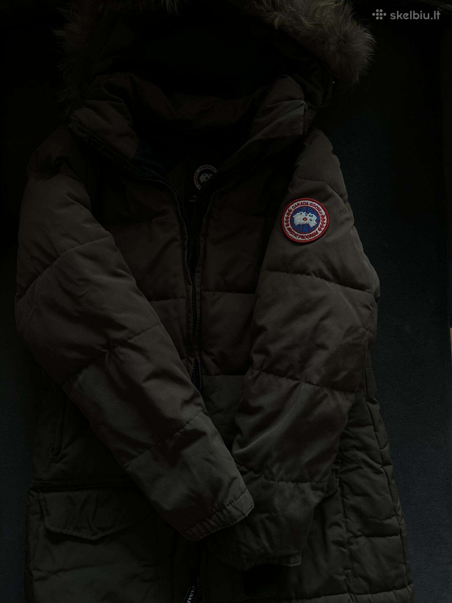 Canada goose striukė