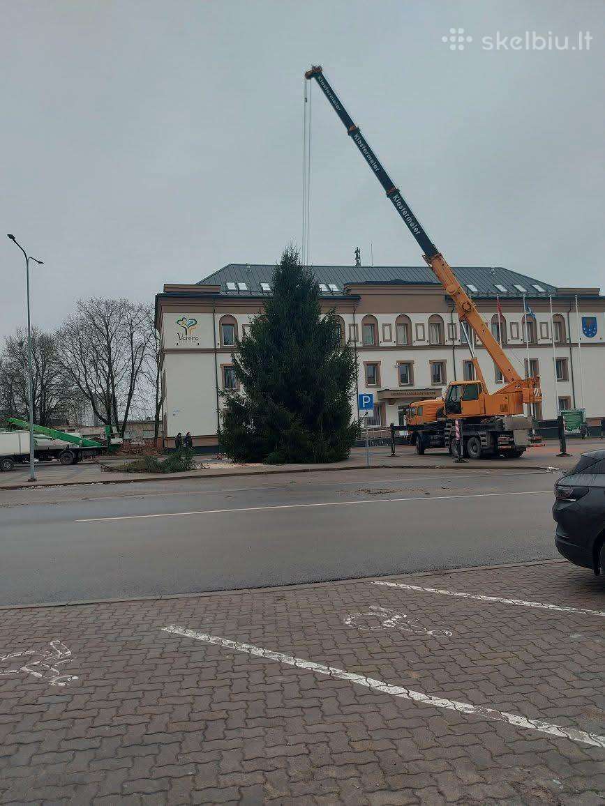 Liebherr LTF 1030, storage and loading equipment rental