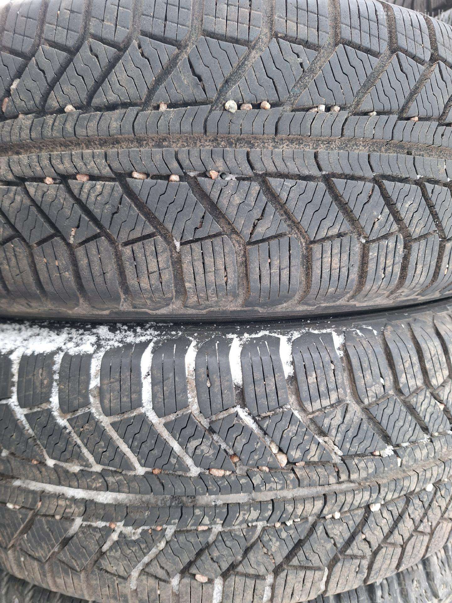 Continental, всесезонные 195/55 R16