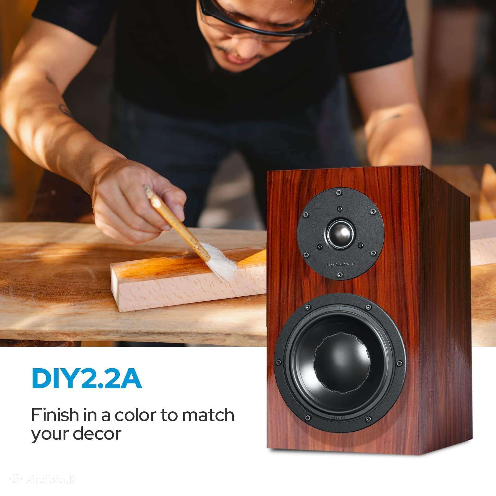 Dynaudio - HiVi SWANS
