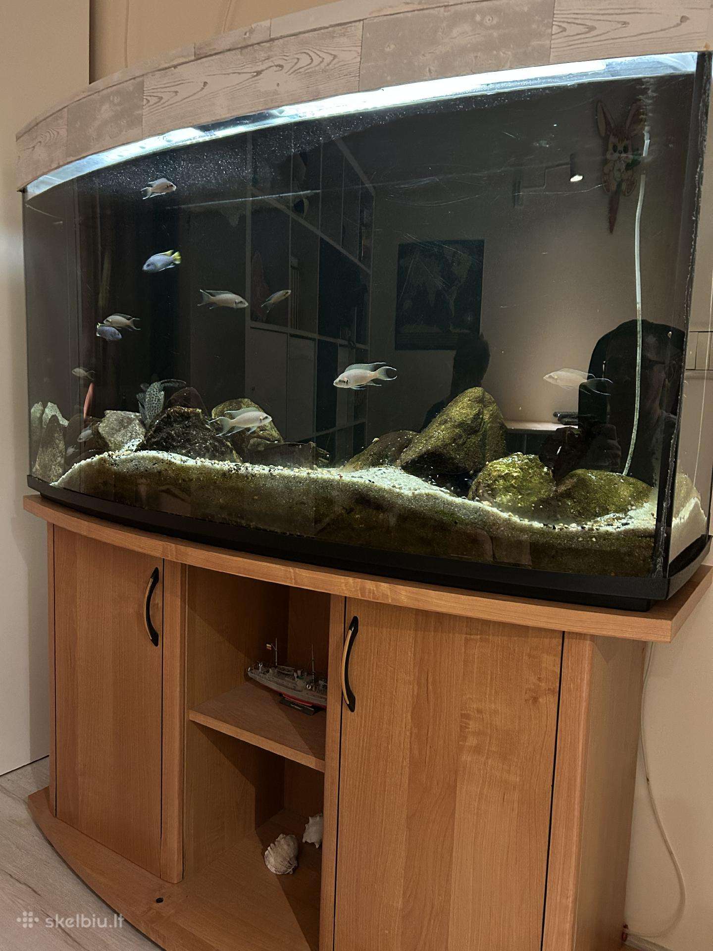 Akvariumas 288l