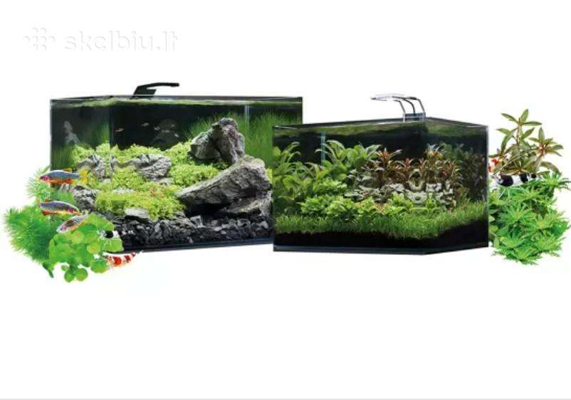Dennerle akvariumas