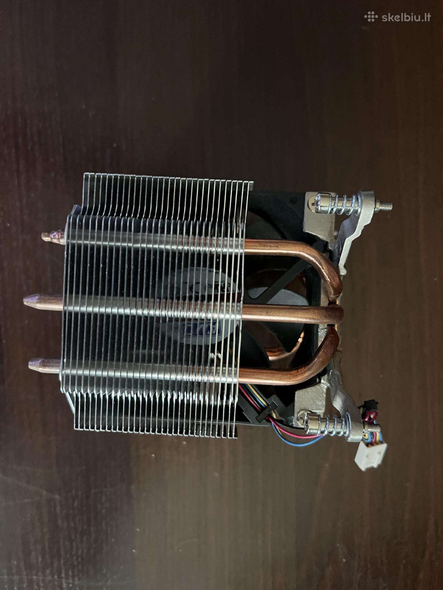 Intel ausintuvas terra