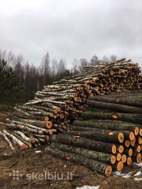 Malkos rąstais, kaladėmis, skaldytos. Įvairiais ki