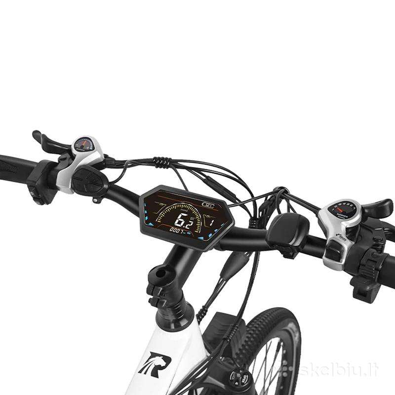 Electric bike RINCC