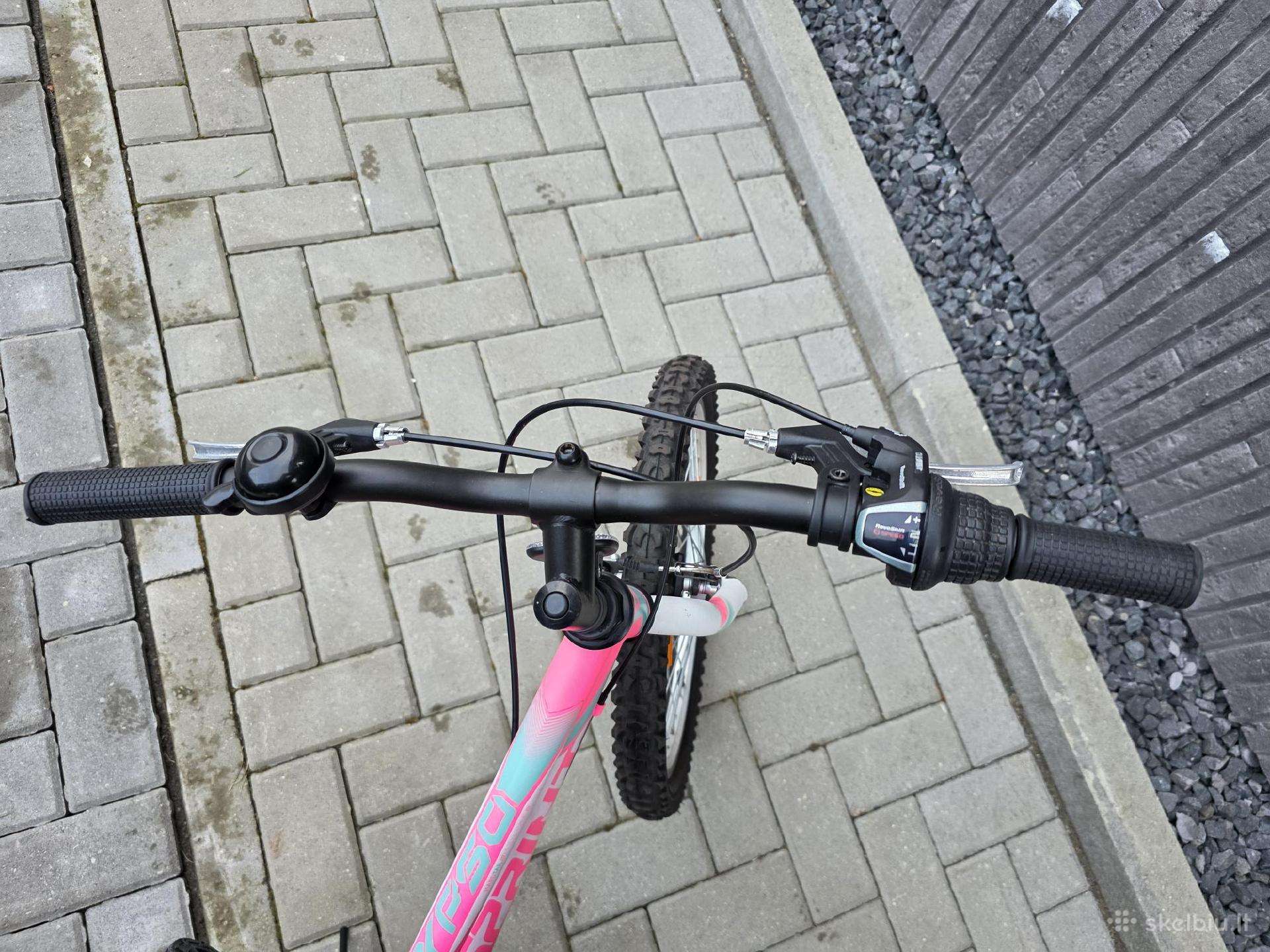 Vaikiškas dviratis Sprint 20″