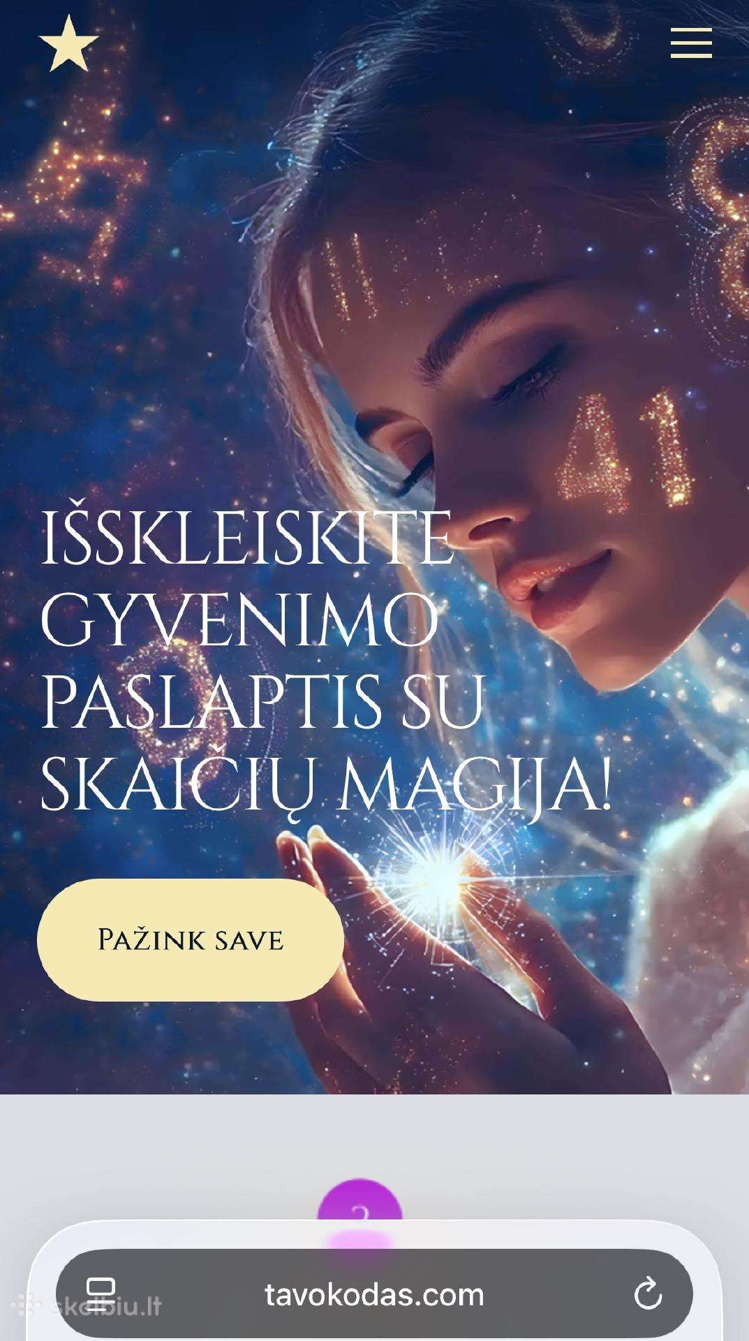 Verslas . Internetinis puslapis