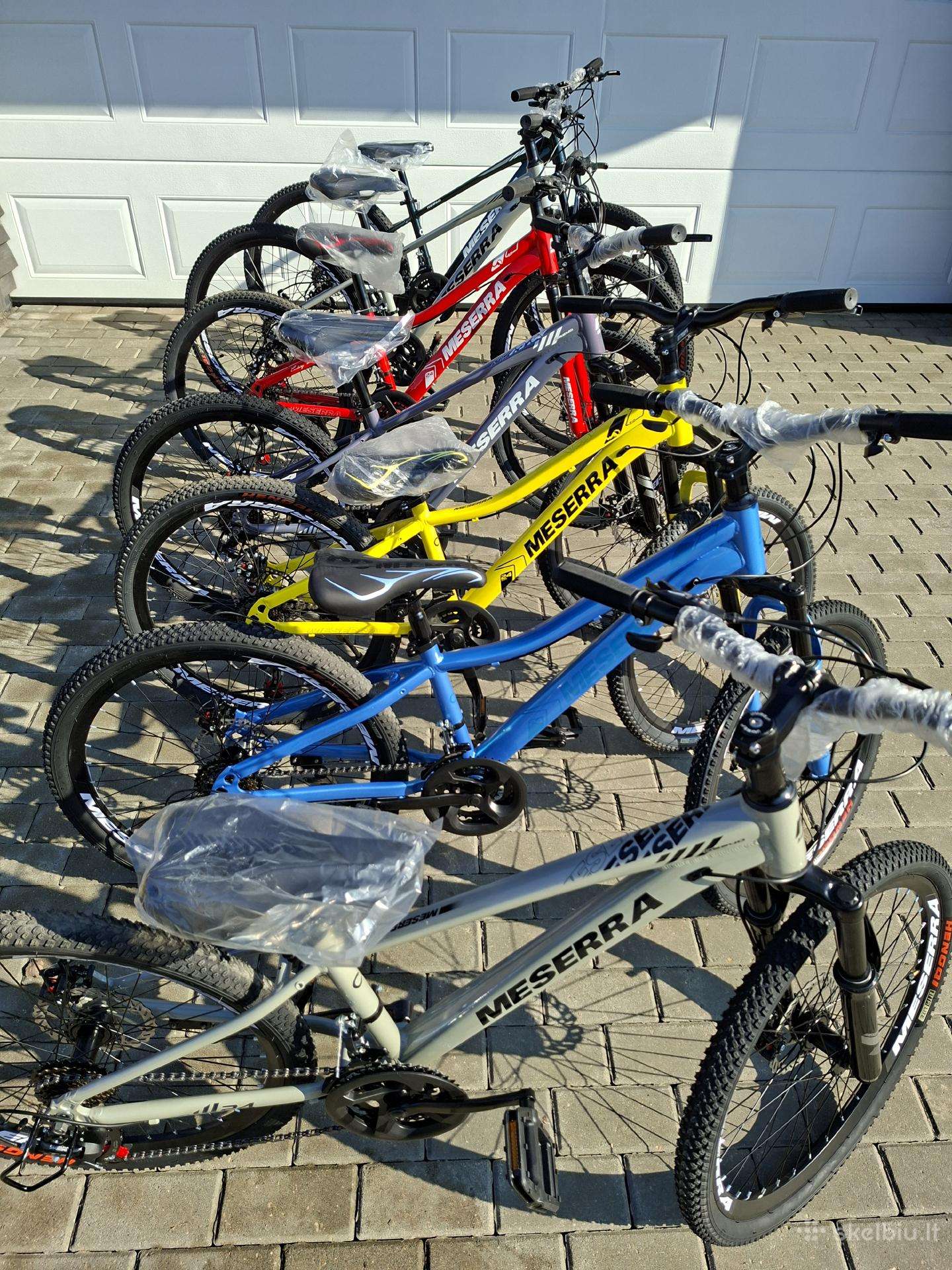 Mountain bike Galaxy